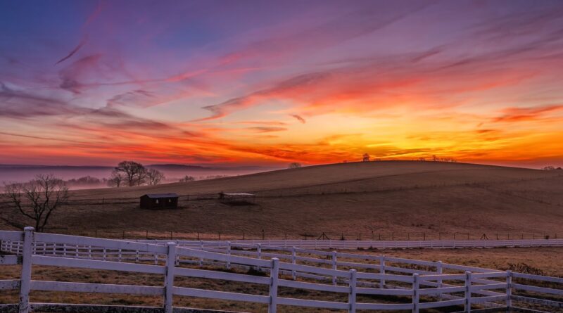 Horsebarn Hill at UConn