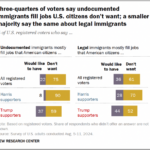 A bar chart showing that a third of voters say undocumented immigrants are filling jobs that US citizens don't want; a smaller majority say the same about legal immigrants.